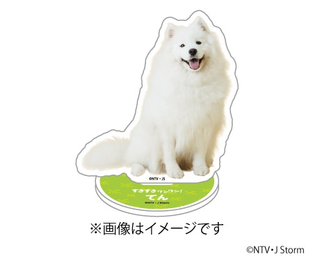 【実況】すきすきワンワン!