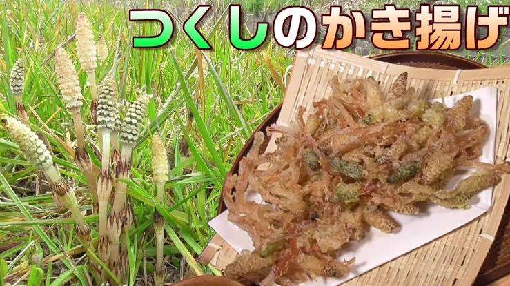 春!って感じの食事メニュー