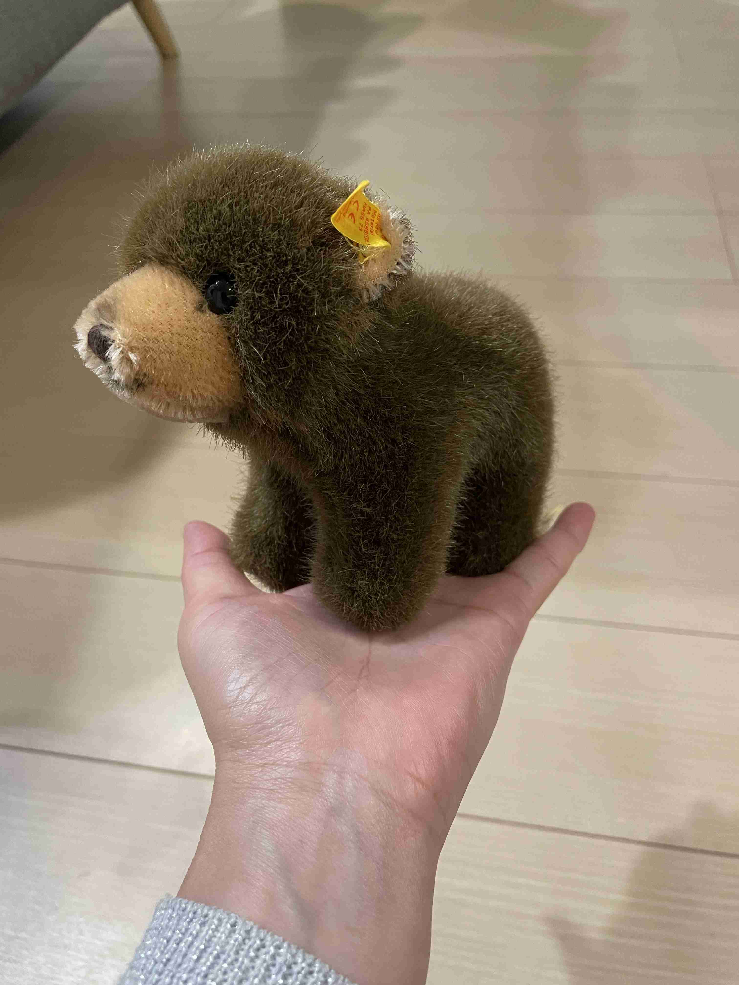 テディベアの画像を貼ろう