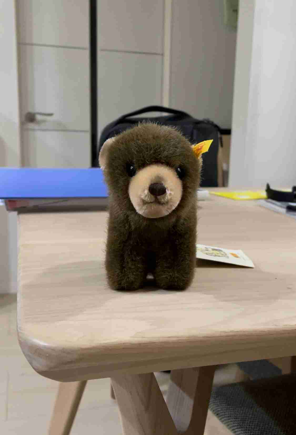 テディベアの画像を貼ろう