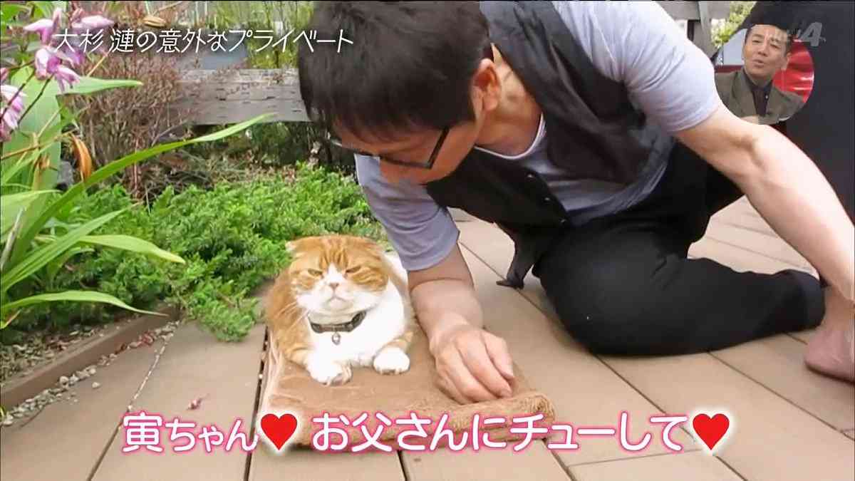大杉漣さんウェブサイト「大杉漣記念館」が命日の21日で閉鎖「作品のなかで出会っていただけることを…」