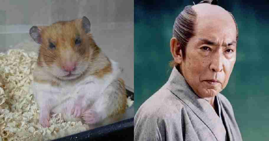 藤田まことさんの孫娘・花リナ、「はぐれ刑事純情派」が結んだ縁で女優デビュー　9日放送「警視庁アウトサイダー」