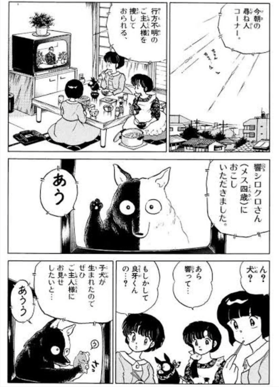「らんま1/2」好きな人