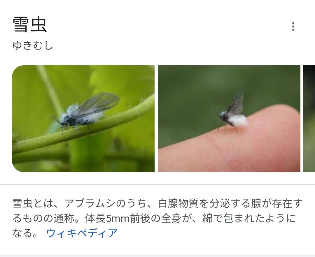 北海道民の特徴