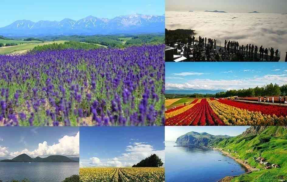 北海道民の特徴