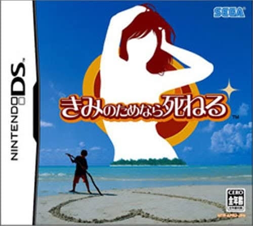 DS、3DSの思い出