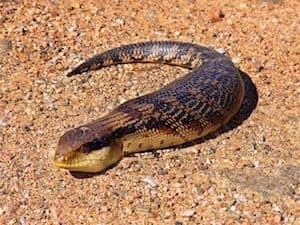 その当時は大騒ぎだった懐かしいこと、ものPart3