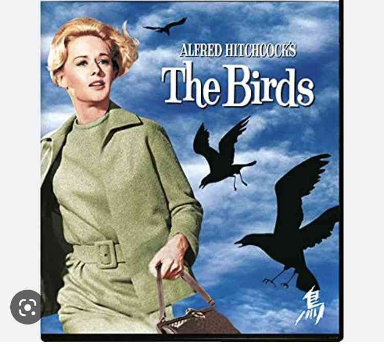 【Amazon prime video】最近アマプラで観た面白い映画を教えてください。