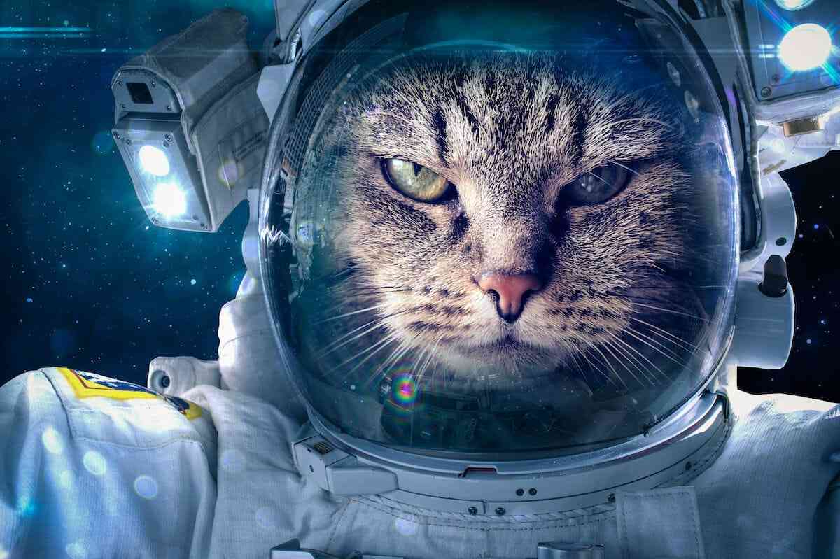 宇宙飛行士・野口聡一氏が断言「宇宙人は100%いる」