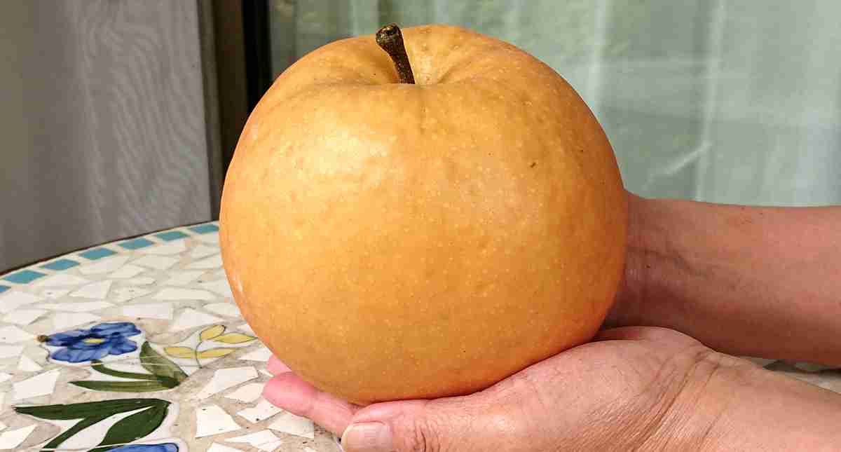 あなたの街の名物教えて下さい