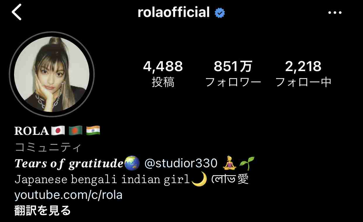 ローラが描いた日本画風の花や鶴が「めちゃ美味い」「す、すごい」漢字も達筆「みてて落ち着く」