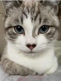 動物が食事しているところを見たい