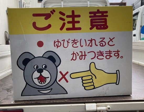 動物が食事しているところを見たい