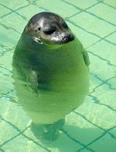 おすすめの天然水やウォーターサーバーを教えてください。