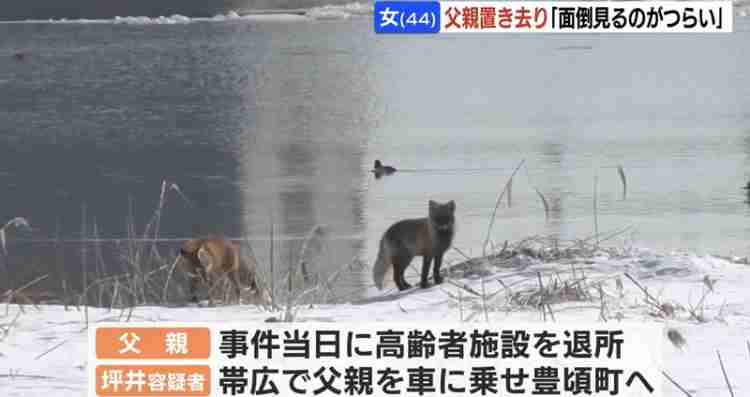 75歳の父親を置き去り、施設から退所の日に…1か月半で逮捕の44歳の娘「面倒をみるのが辛いと思った」などの供述