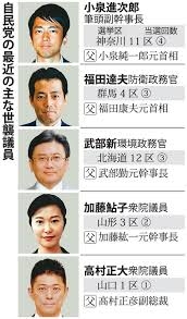 「一族に政治家がたくさんいたことは事実」　岸信千世氏が家系図の掲載を説明