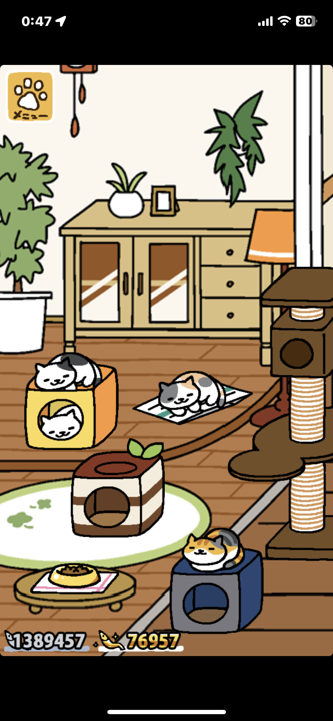 ねこあつめやってる人〜 ガールズちゃんねる Girls Channel ねこあつめやってる人〜 ガールズちゃんねる Girls Channel