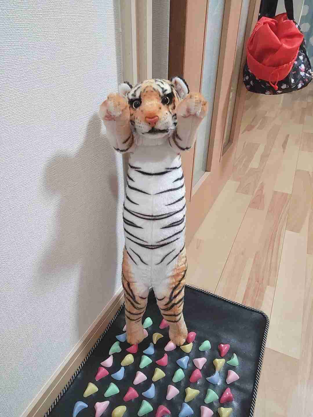 我が家のペット自慢(ワンちゃんネコちゃんいがいで)
