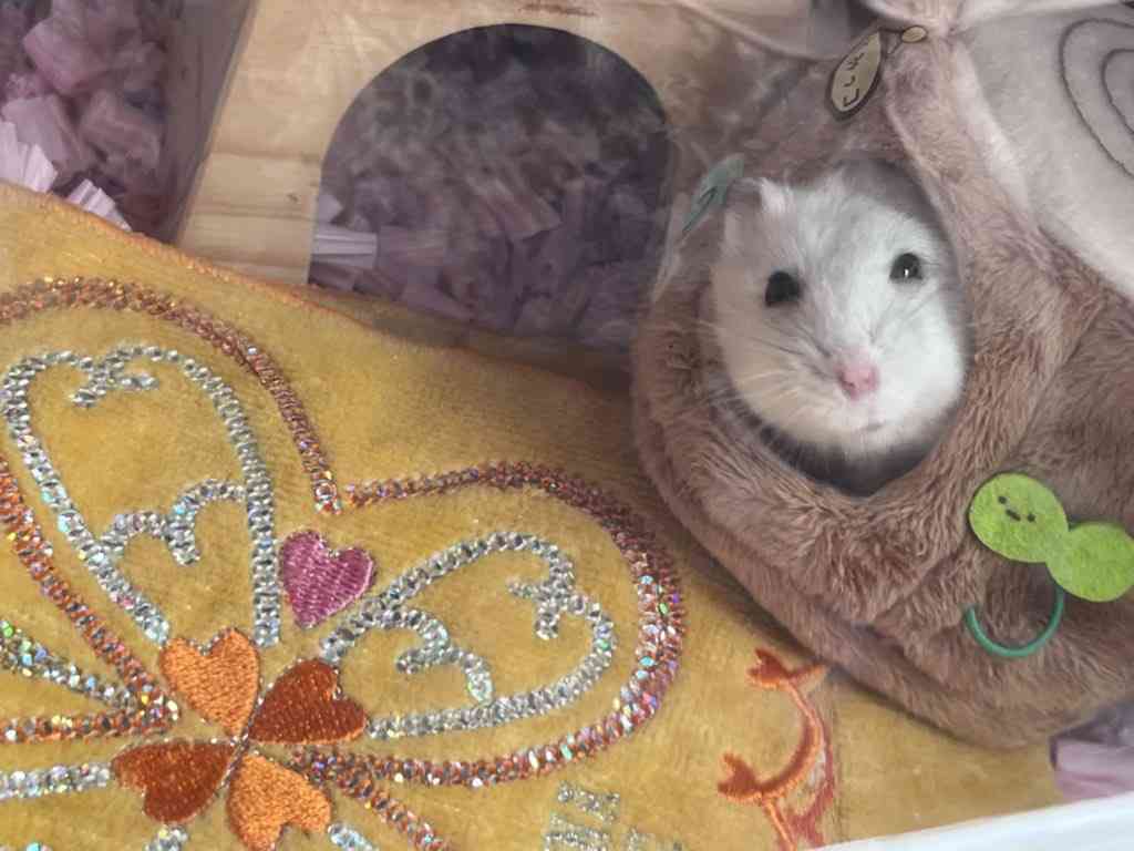 我が家のペット自慢(ワンちゃんネコちゃんいがいで)