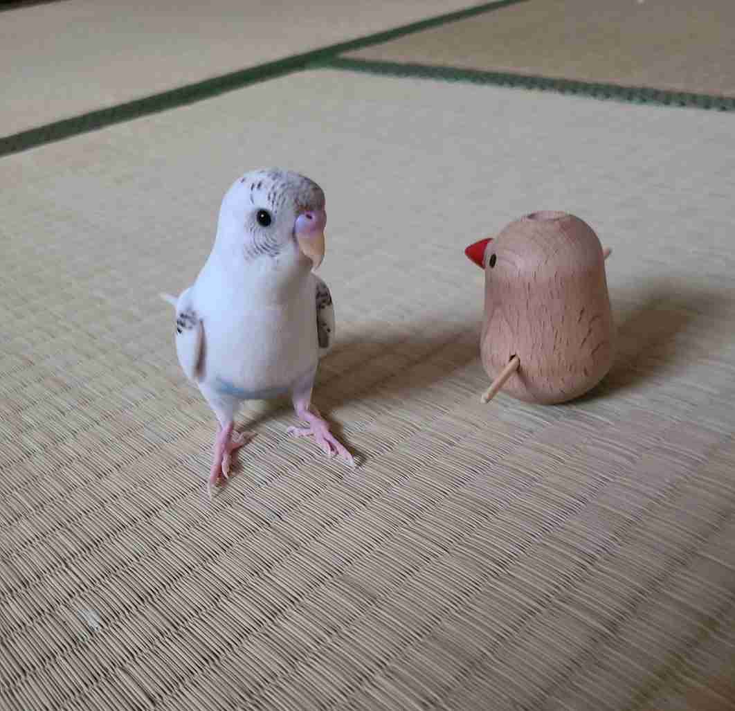 我が家のペット自慢(ワンちゃんネコちゃんいがいで)
