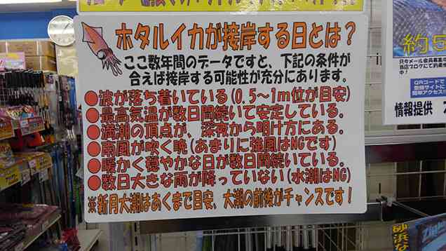 【富山＊石川＊福井】北陸3県雑談part4