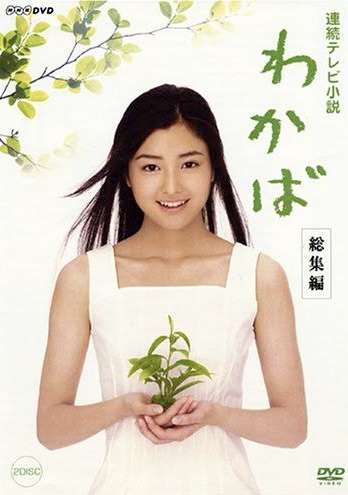 朝ドラでいまいちブレイクしなかった俳優・女優Part4