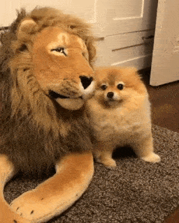 運命の出会いって本当にあるんですか？