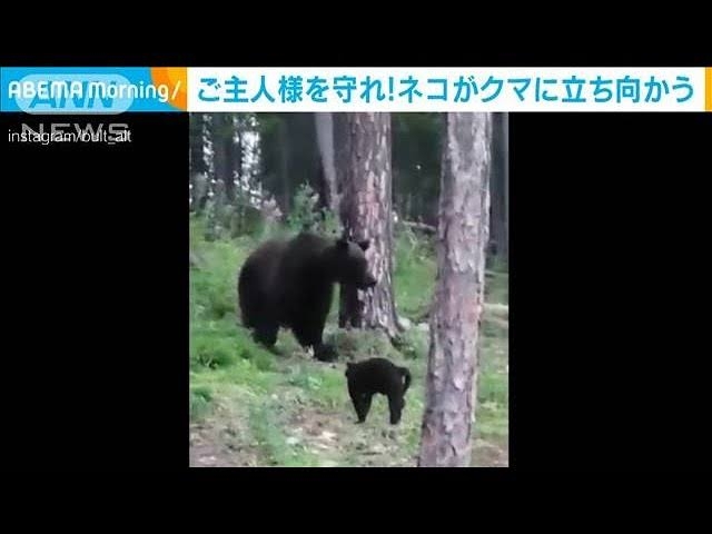リアルに腰を抜かしたエピソード