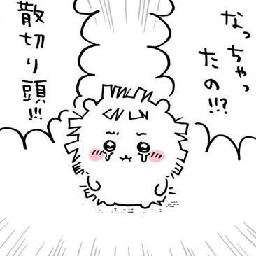 ヤケクソになってした髪型