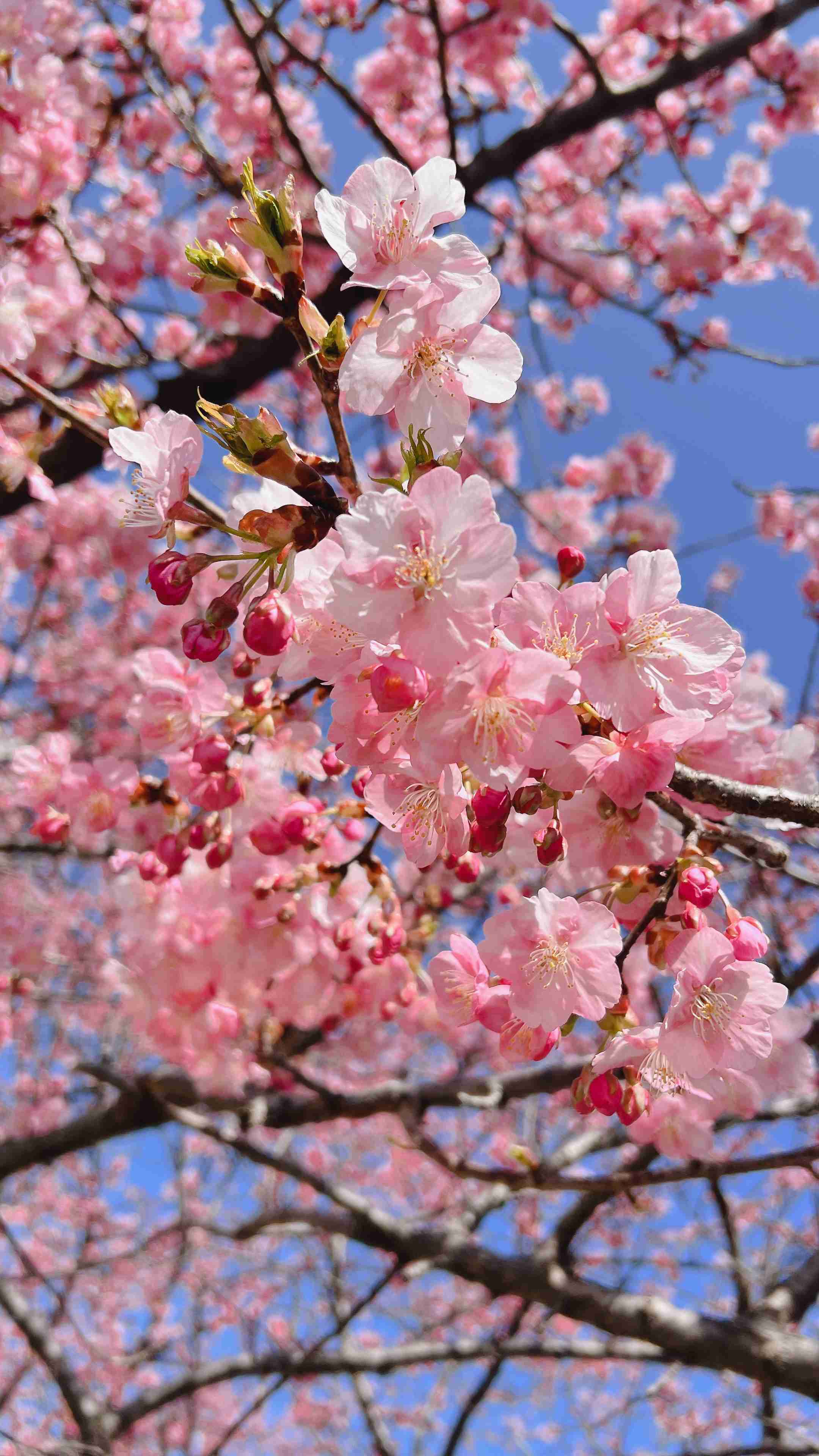 今日楽しかった事を報告しましょう