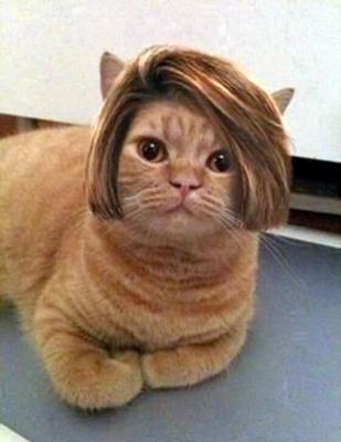 IKKOさんの髪型の歴史