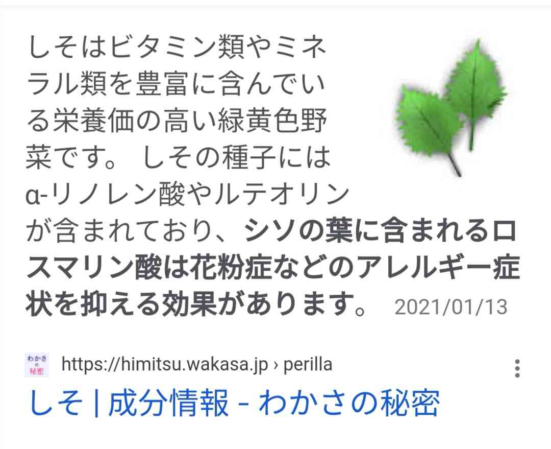 花粉　金曜も対策を　土曜以降は大量飛散　東京はヒノキも飛散始まる　ピークいつまで