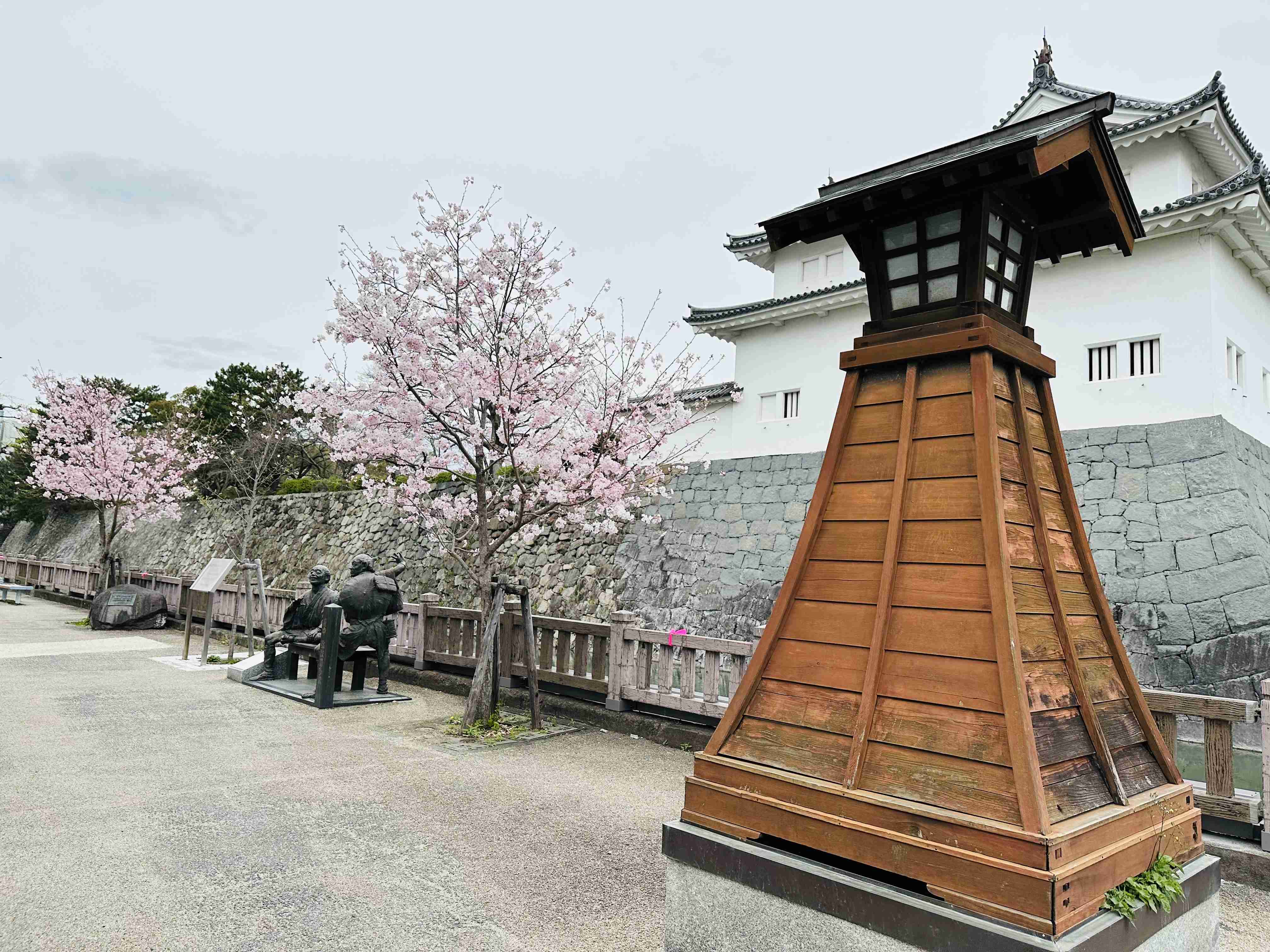 皆さんの近所の桜開花写真🌸