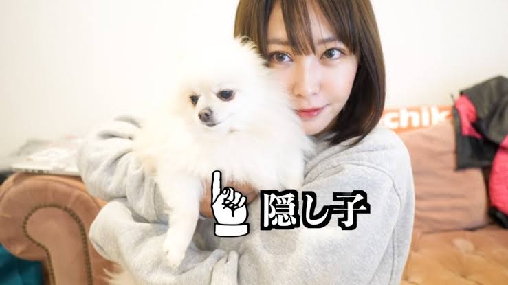 ペットの雑談&情報交換所