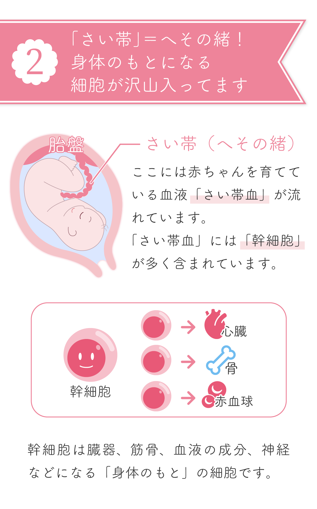 臍帯血保管しましたか