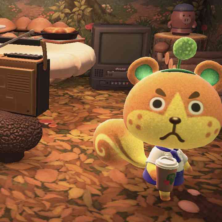 【どうぶつの森】いろんな住民の服装が見たい