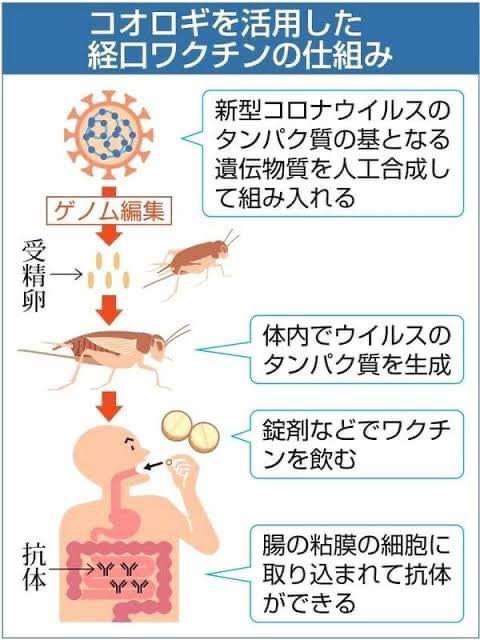「あの目を見て、命なので、受け入れがたい」乳牛を食肉処理すれば補助金...減産方針に酪農家困惑「牛乳輸入は減らせない？」国に聞いてみると