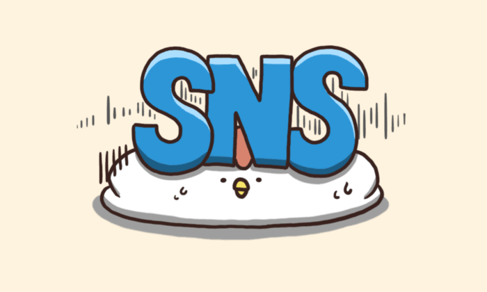 インスタやTwitterなどSNSをしてなくて困ったこと