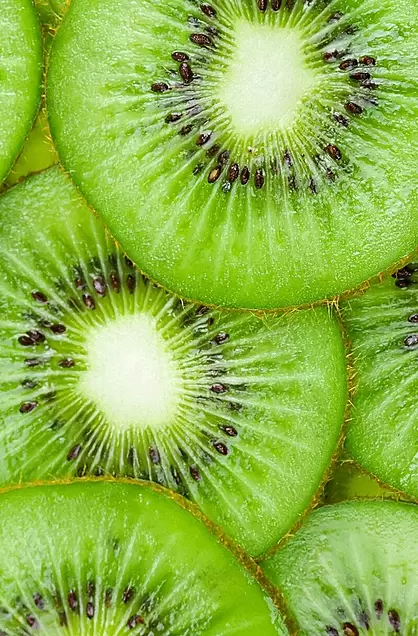 緑色の物の画像を貼るトピ