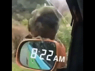 誰かのために頑張っている事は何ですか？