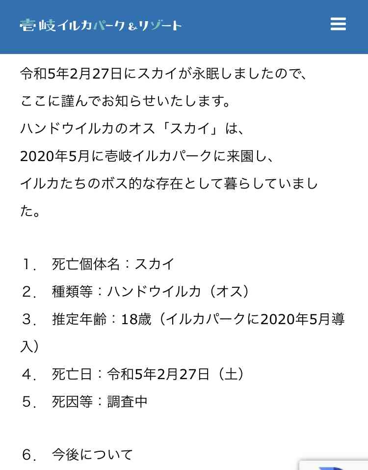 「キモい」「泥棒」と叱責…壱岐島で遺体発見「17歳高校生は里親から虐待されていた」同居していた離島留学生が告発