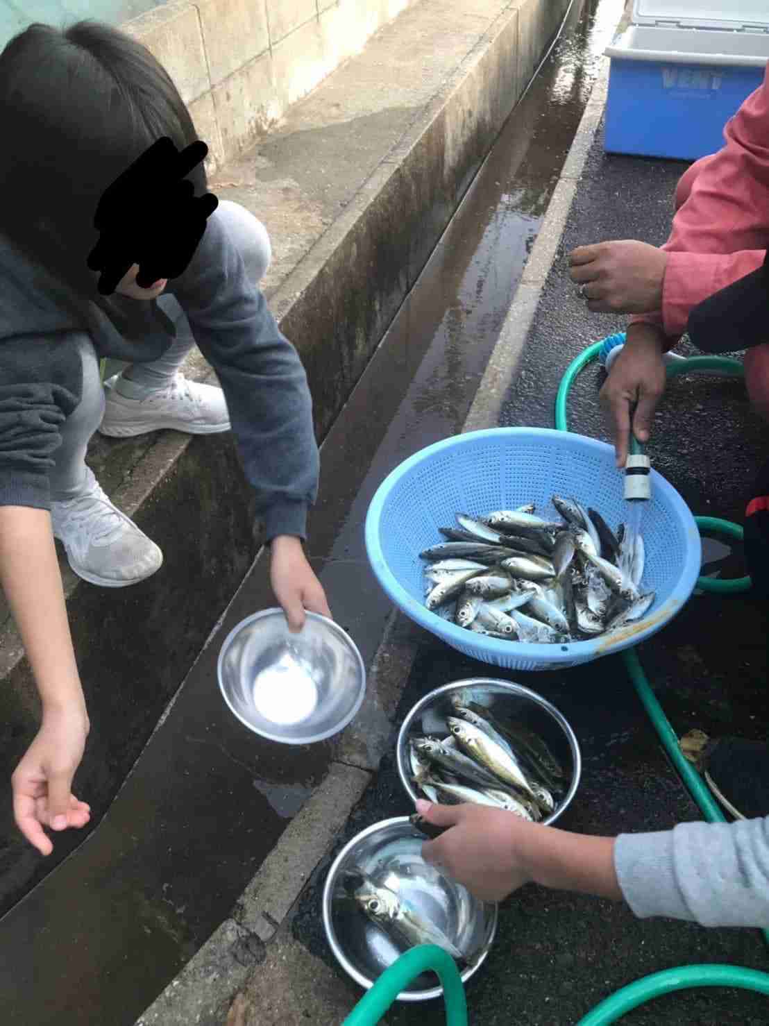 「キモい」「泥棒」と叱責…壱岐島で遺体発見「17歳高校生は里親から虐待されていた」同居していた離島留学生が告発