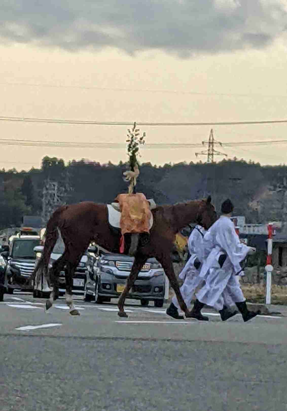 最強開運日、何しますか？