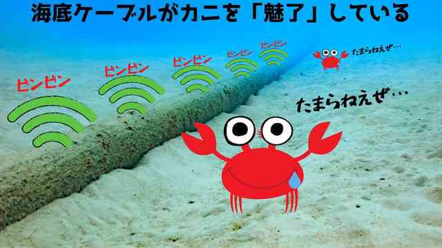 かに座さん集まれ～❮雑談❯