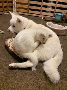 ワンオペ春休みの過ごし方〜予定〜