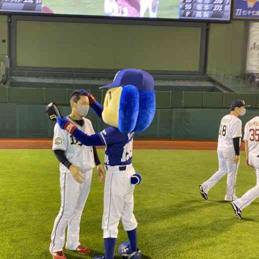 プロ野球の楽しみ方を教えて!