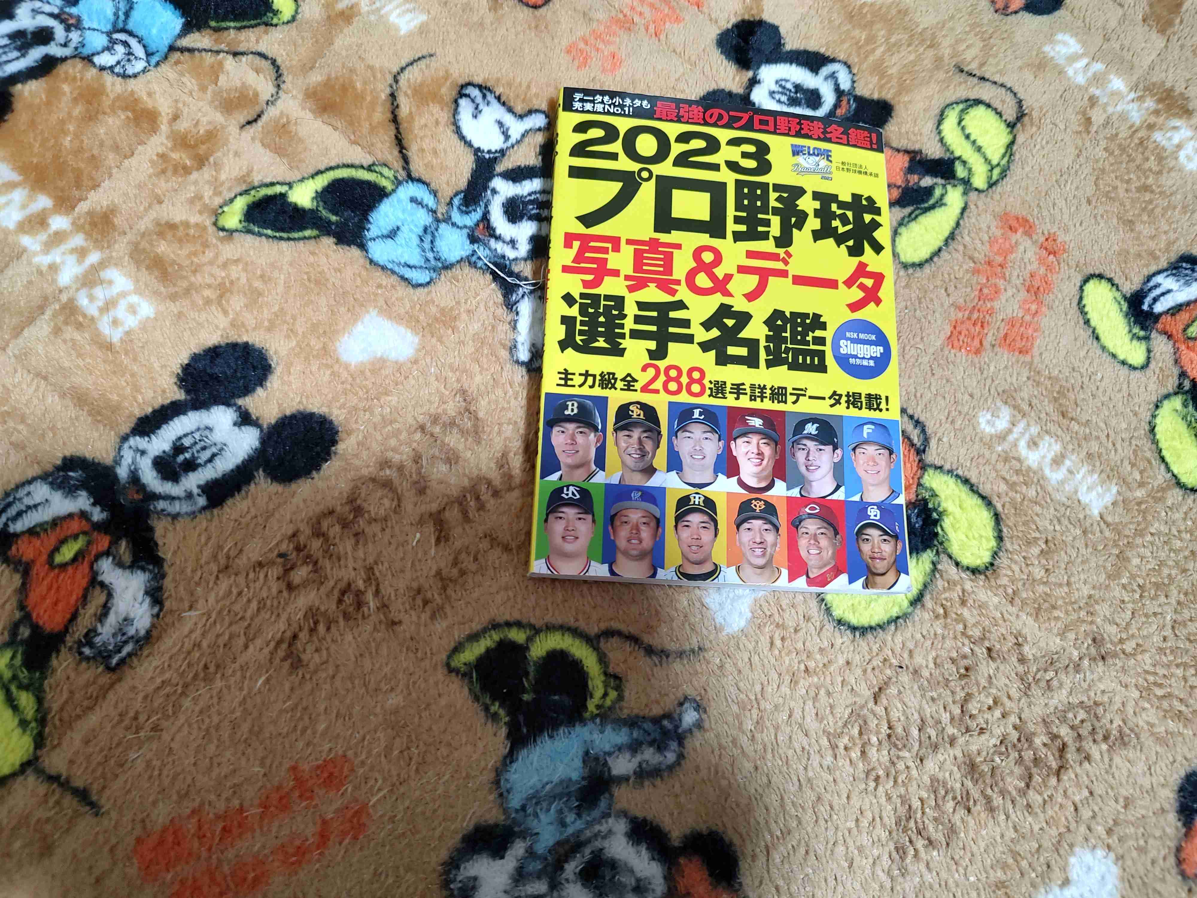 プロ野球の楽しみ方を教えて!