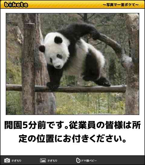boketeで1000コメ以上を目指そう〜 part7〜