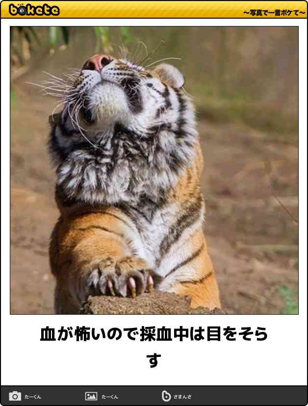 boketeで1000コメ以上を目指そう〜  part7〜