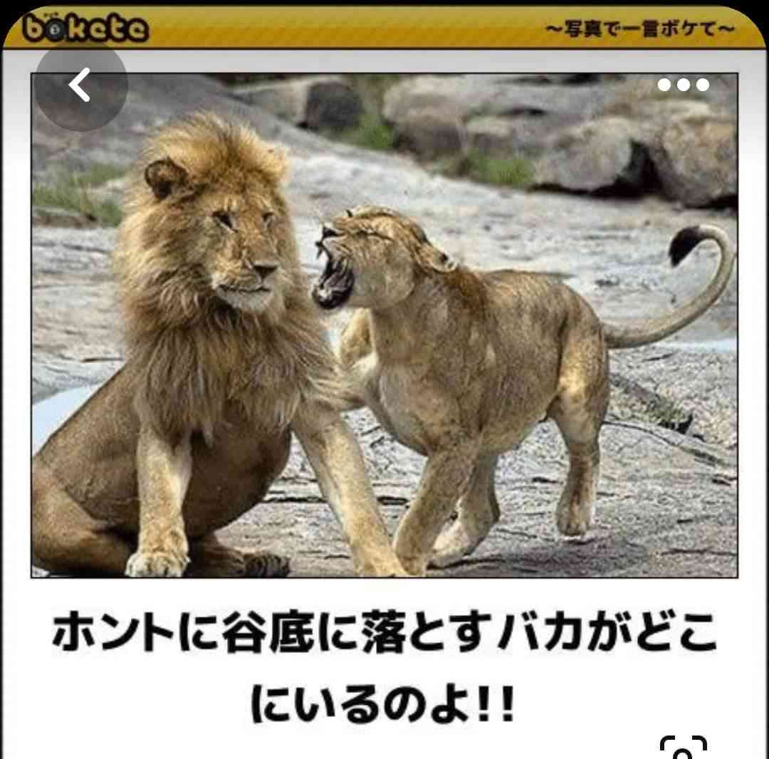 boketeで1000コメ以上を目指そう〜  part7〜